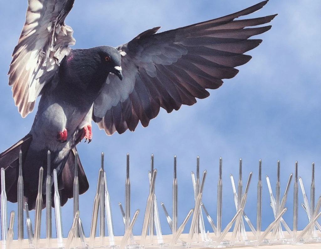 طارد حمام على النوافذ